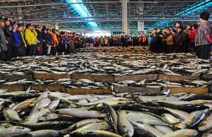 고등어~~ 어디까지 즐겨봤니? ‘제11회 부산고등어축제’ 개최