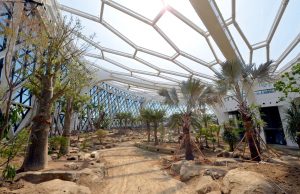 서울식물원, 11일부터 시민들에게 임시 개방