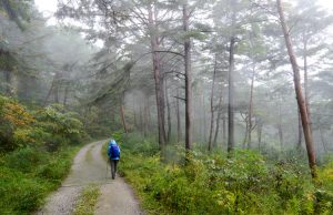 “한국관광공사가 추천하는 11월의 걷기여행길”