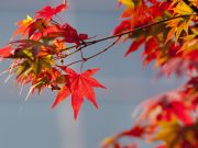 단풍시작… 주말 전국 유명산에 등산객 등 북적