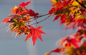 단풍시작… 주말 전국 유명산에 등산객 등 북적