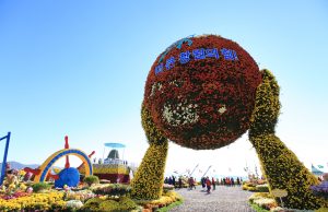 오색국화의 향연 ‘마산가고파국화축제’