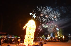 파주개성인삼축제