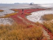 “한국관광공사가 추천하는 12월의 걷기여행길”