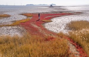 “한국관광공사가 추천하는 12월의 걷기여행길”