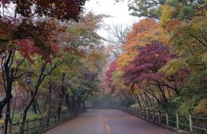 남산 숲의 진면목을 선보일 ‘제4회 남산둘레길 걷기 축제‘ 개최