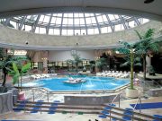 온천 힐링명소로 떠나자! 동래온천, 해운대온천에서 즐기는 부산 겨울여행