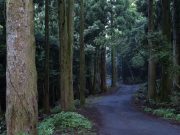 한국관광공사, 웰니스 관광 UCC 영상 공모전 개최