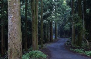 한국관광공사, 웰니스 관광 UCC 영상 공모전 개최