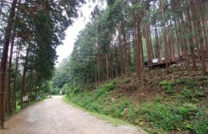 완주 편백숲 입장료에 발길 돌리는 관광객