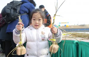 파주장단콩축제