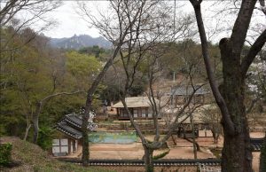 ‘강진 백운동 원림’ 국가지정문화재 지정 예고