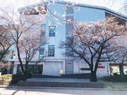 안동문화예술의전당 야외 공연