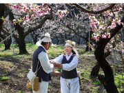 영천의 봄! 작품이 되는 날