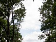 문화재청, 월성 사진 촬영대회 개최