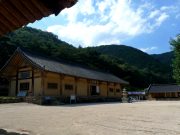 영천으로 전통사찰 여행 떠나자