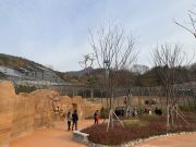 서울시, ‘서울대공원’ 아시아 동물원 최초 ‘국제기준(AZA)’ 인증 도전