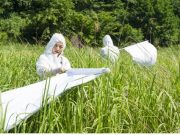 서울시, 주요 공원 진드기 채집 조사