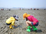 한국관광공사 7월 추천 가 볼 만한 곳