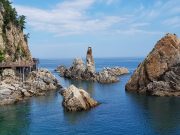 2019 한국관광의 별을 추천해 주세요