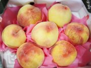 전주는 복숭아도 맛있어요!