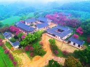 분홍빛으로 물든 병산서원의 아침…