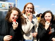 논산딸기축제, 예년보다 앞당겨 최고의 딸기 맛 선보인다