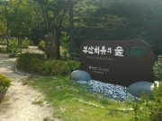 부산관광공사, ‘부산 치유의 숲’에서 부산 웰니스 관광이 뜬다!