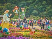 청원생명축제 9월 27일~10월 6일|오창읍 미래지 농촌테마공원