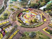 대한민국 국향대전 10월 18일 ~ 11월 3일 | 함평 엑스포공원