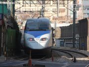 신종코로나 확산으로 지역 문화 ‘올스톱’