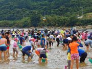 하동군, ‘섬진강문화재첩축제’…문화예비축제로 지원