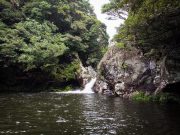 코로나19 재확산에 제주 일주일새 3만명 급감, 업계 침울