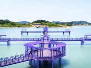 신안군, SRT 3천만 명 독자가 선정한 ‘최고의 여행지’ 선정