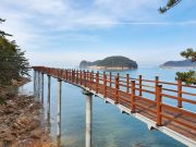 태안의 새로운 관광명소 만리포 ‘뭍닭섬 산책로’ 뜬다!