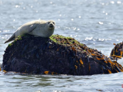 인천시, 최초 ‘국가 생태관광지역’ 선정