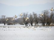 창원시, 주남저수지 국가 생태관광지역 선정