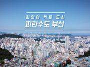 한국전쟁 전쟁 71주년 기념 ‘피란수도 부산’의 문화적 가치를 알리다