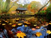 여행자의 도시 담양, 관광 사진 · 영상 공모전 개최