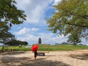 왕궁리유적 비대면 나들이..유튜브로 백제정원 체험 진행