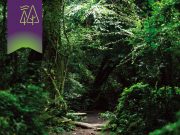 2021 제주 웰니스 관광지 선정