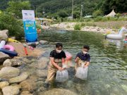 ‘청정계곡’ 수생태 관광지 조성 위해 미유기‧미꾸리 방류