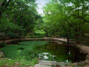 명승 지정 별서정원 11개소 역사성 검토 결과 공개