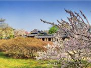 봄꽃 가득 핀 4대 궁·종묘·조선왕릉에서 봄나들이