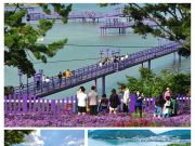 전남도, ‘외국인봄시즌 안심관광지’ 전국 최다