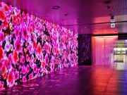 진달래꽃·소나기…실감콘텐츠로 되살아난 근·현대 문학