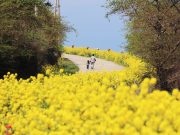 한국관광공사 ‘봄시즌 비대면 안심관광지 25선’ 선정