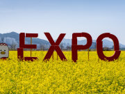 “노란 유채 물결 따라 2030부산세계박람회 응원해요”