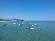 강원도에 ‘스포츠케이션’ 바람