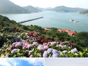 6월엔 그림같은 전남 다도해 절경 즐기세요